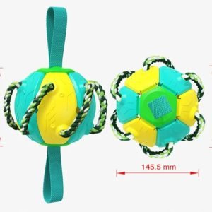 Honden speelgoed | Bal | Frisbee | interactief